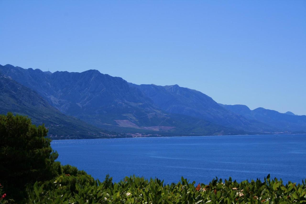 Apartament Mandolina *