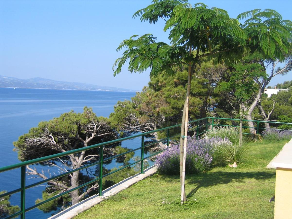Mandolina Marusici (Split-Dalmatia)